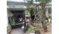 ĐẤT ĐẸP Q TÂN PHÚ