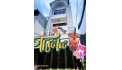 Thành Thái Quận 10 Phường 12.
