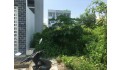 Bán Đất Nguyễn Duy Trinh 56m2, ngan 4 mx14m  nhỉnh 4 tỷ Long Trường , Quận 9 
Hẻm xe hơi