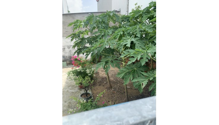 Bán 2 lô đất đường Dương Thị Mười, ngày CV PM Quang Trung, DT: 4.5x22m, giá 5 tỷ