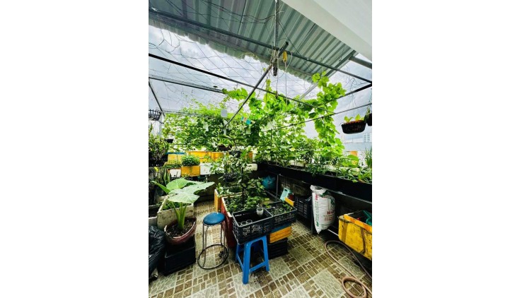 Bán Nhà Nguyễn Đình Chiểu Quận 3 Phường 4.