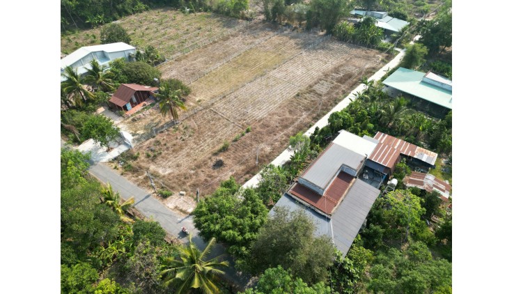 Cần Bán Gấp! Đất 132m² Tây Ninh, Cách TP.HCM 30 Phút, Sổ Hồng Riêng, Chỉ 550 Triệu!