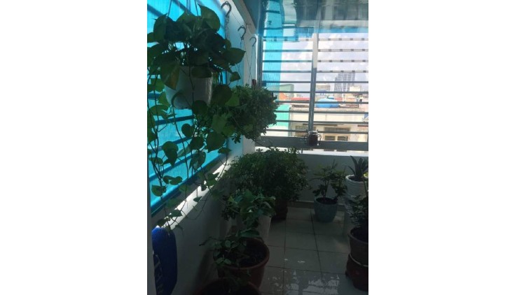 Chủ gửi bán gấp căn nhà hẻm 116 tô hiến thành 2 tầng 29m2 Quận 10 dài 9 p15