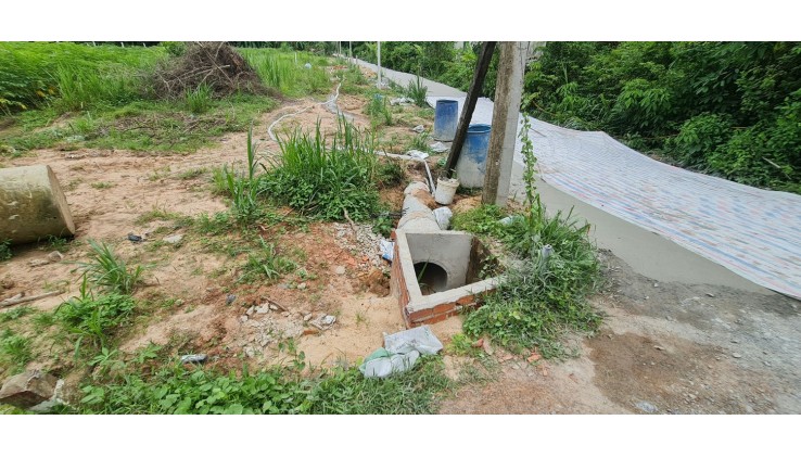 Cần Bán Gấp! Đất Thổ Cư Tây Ninh 132m², Gần KCN Hiệp Thạnh – Chỉ 550 Triệu!