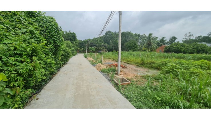 Cần Bán Gấp! Đất Thổ Cư Tây Ninh 132m², Gần KCN Hiệp Thạnh – Chỉ 550 Triệu!