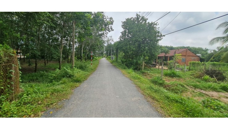 Cần Bán Gấp! Đất 132m² Tây Ninh, Cách TP.HCM 30 Phút, Sổ Hồng Riêng, Chỉ 550 Triệu!