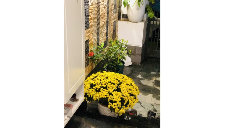 Chuyển Công Tác Cần Cho Thuê Nhà  Khu Biệt Thự Lakeview City