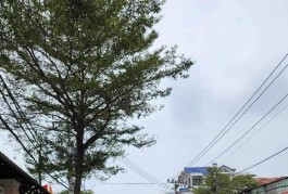 CƠ HỘI VÀNG - MẶT TIỀN KINH DOANH SIÊU HIẾM - DƯƠNG CÁT LỢI NHÀ BÈ - 125M² - CHỈ 7.1 TỶ