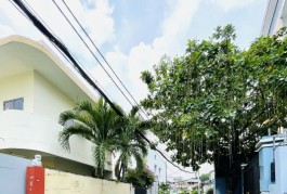 Bán Nhà Cấp 4, hẻm nhựa 8m Tân Hòa Đông - ngay Vòng xoay Phú Lâm, 5.3x29m, 11 tỷ.