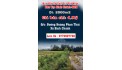 Chính Chủ Bán Đất Sổ Sẵn Giá Tốt Nhất Khu Vực Bình Chánh-HCM