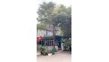 NGÂN HÀNG THANH LÝ NHÀ  DỰ ÁN JAMONA TẠI HIỆP BÌNH PHƯỚC, TP. THỦ ĐỨC GIÁ 17 TYY