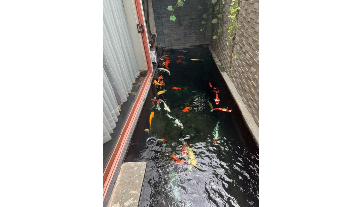 sở hữu ngay siêu phẩm biệt thự sân vườn đường số 4 (Lò Lu) Quận 9, TP Thủ Đức