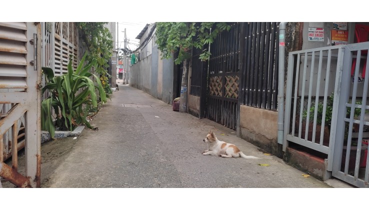 Nhà ngang khủng 8.7m, cách 1 căn ra mặt tiền đường Huỳnh Tấn Phát, Nhà Bè, 76m2, 2 tầng, sổ riêng, chỉ 3.3 tỉ