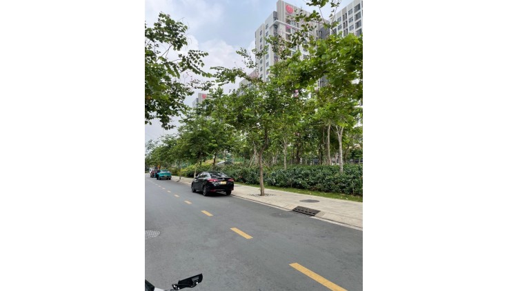 ĐẤT LỚN P THANH XUÂN Q12
