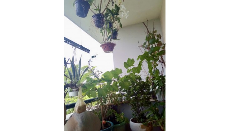 Giá tốt nhất khu vực! Căn chung cư Da Sà Bà Hom, Bình Trị đông, BTân dt 67m2 chỉ 2.2 tỷ