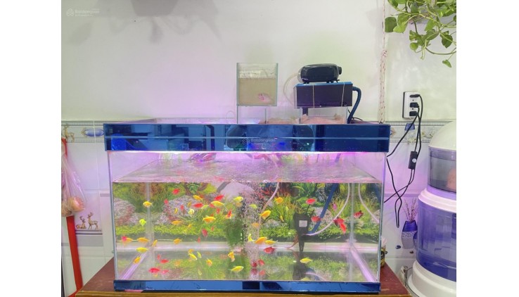 NHÀ HIẾM ngang 4.3m HXH ngay chợ Tân Hương, Q.TPhú 3T 3PN chỉ 5 tỷ xx