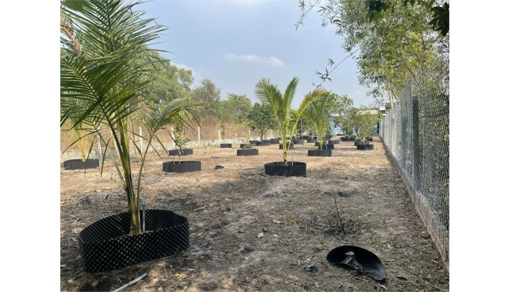 Cần bán nhà vườn 1100m2, Nguyễn Thị Rành, An Nhơn Tây, Củ Chỉ. Giá 4.2 tỷ