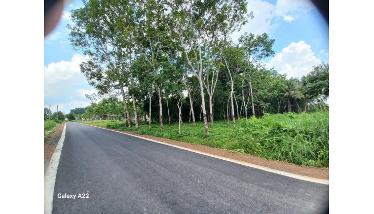 NHÀ MẶT TIỀN -  GIÁ TỐT CẦN BÁN NHANH NHÀ tại 3A Trần Cao Vân, phường 11, Phú Nhuận, HCM