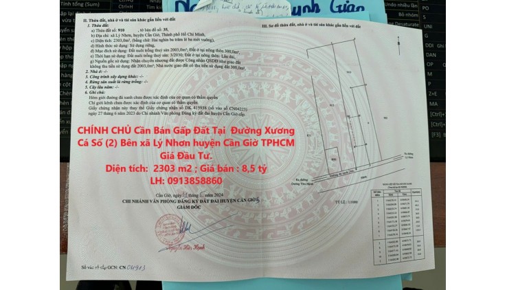 CHÍNH CHỦ Cần Bán Gấp Đất Tại  Đường Xương Cá Số (2) Bên xã Lý Nhơn huyện Cần Giờ TPHCM Giá Đầu Tư.