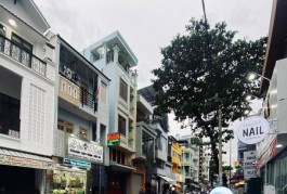 Mặt Tiền Trần Khắc Chân Phường Tân Định Quận 1.