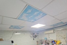 Nhà  Nguyễn Thượng Hiền, P.5,PN, HXHsn ,64m2, lô góc, không QH
