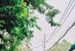 NHÀ Ngay Giáo Xứ TRUNG MỸ TÂY Quận 12. Chỉ 2,85 tỷ