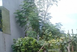 Bán đất Nguyễn Duy Trinh, Phú Hữu, Quận 9, HXH, 65M2 giá chỉ 3.8 tỷ TL