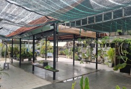 Bán Nhà 3 MT đường Nguyễn Thị Nhuần - An Phú Đông - Quận 12