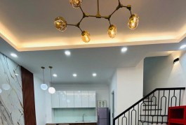 Siêu phẩm Quận 7 gần ngay Khu chế xuất Tân Thuận Giáp Q4