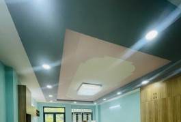 Bán nhà cấp 4 dòng tiền giáp chung cư  Cao Lỗ 4*20 phường 4 quận 8 giá chỉ 15,5 tỷ