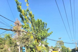 BÁN ĐẤT MẶT TIỀN ĐƯỜNG NHỰA THÔNG RA LÊ THỊ HÀ - TIỆN KINH DOANH ĐA NGHÀNH NGHỀ - TRUNG TÂM ĐÔNG ĐÚC - TÂN XUÂN - HÓC MÔN GIÁ RẺ.