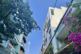 Bán nhà mặt tiền KD Trần Hưng Đạo, Tân Phú, dt 4.5m x 20m, Đường 20m, Chỉ 14.5 tỷ