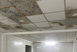 Chính chủ cần cho thuê kho xưởng trên đường Phạm Hùng Nối Dài tại Bình Chánh