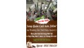 Sang Quán Cafe hơn 200m² tại Phường Tân Thới Hiệp, Quận 12 – Giá 158 Triệu
