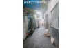 NHÀ 2 LẦU 45M2 NGAY CAO ĐẲNG CÔNG THƯƠNG PHƯỚC LONG B CHỈ NHỈNH 3TỶ. PB269