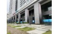 Siêu Phẩm Shophouse Phú Mỹ Hưng - Đầu Tư An Toàn, Lợi Nhuận Bền Vững Với Giá Trị Gia Tăng Mỗi Ngày