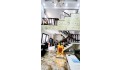 Bán nhà 1T1L2LST 4pn 6*11m hẻm xe hơi đường 8 - Linh Xuân