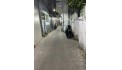 Nhà Q10 ngay tô hiến thành , hẻm xe ba gác thẳng 1 trục . 41m2 3 tầng ngang 3.7M