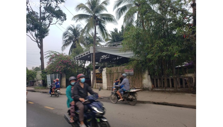 Thời điểm vàng mua nhà to giá rẻ Thành Phố Thủ Đức 300m2