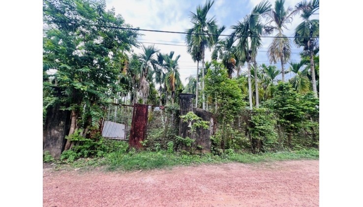 bán gấp lô đất góc 2 mặt tiền đường số 7  xã tân thông hội