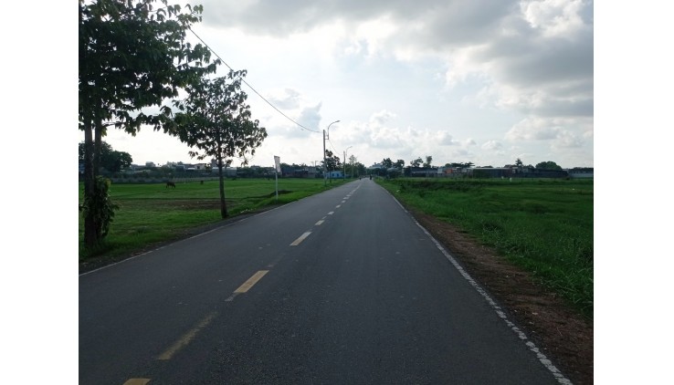 Bán đất trước mặt Nguyễn Thị Đành, giá 50 tỷ + x tỷ