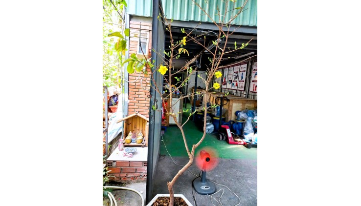 Bán đất 70m2 hẻm xe hơi đường 2 - Trường Thọ