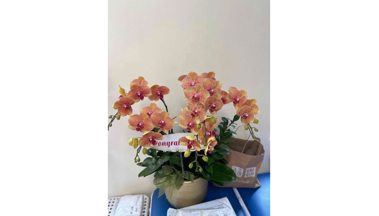 CHÍNH CHỦ CẦN CHO THUÊ NHÀ  Đường quốc lộ 50 gần khu dân cư gia Hoà Ấp 4 xã Phong Phú huyện Bình Chánh