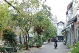 Vợ bạn chủ bỏ nhà đi, chủ bángấp nhà HXH GòDầu, Q.TPhú 60m2 3T chỉ 6tỷxx