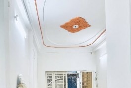 Khu Vực Hiếm Nhà Bán Huỳnh Mẫn Đạt Quận Bình Thạnh Phường 19.