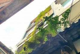 Nhà 5.6 tỷ, PHAN ĐĂNG LƯU, PN, 5 PHÒNG, 55M2