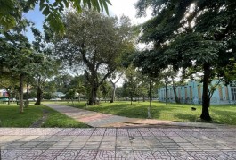 Mặt tiền KD cực đỉnh đường Bạch Đằng, P2, Tân Bình, 92m2, 3 tầng, bán gấp