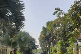 CƠ HỘI ĐẦU TƯ VÀNG: ĐẤT Ở THỔ CƯ 100M2 - THẢO ĐIỀN - QUẬN 2 - GIÁ 23 TỶ - SỔ ĐỎ