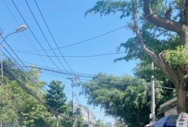 NGANG 5.6M MT K. DOANH ĐỈNH. TAM PHÚ. TĐ - 147M - 4 TẦNG. 5PN. HD THUÊ 25TR/TH. BÁN NGAY 17 TỶ TL
