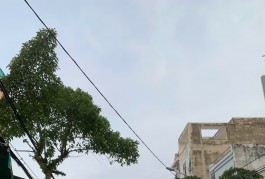 GIÁP TÂN HÒA ĐÔNG DIỆN TÍCH KHỦNG 113M SẴN DÒNG TIỀN HẺM XE TẢI THÔNG TỨ TUNG KHU CAO TẦNG TIỆN XÂY MỚI GIÁ NHỈNH 6 TY 5CCDF9